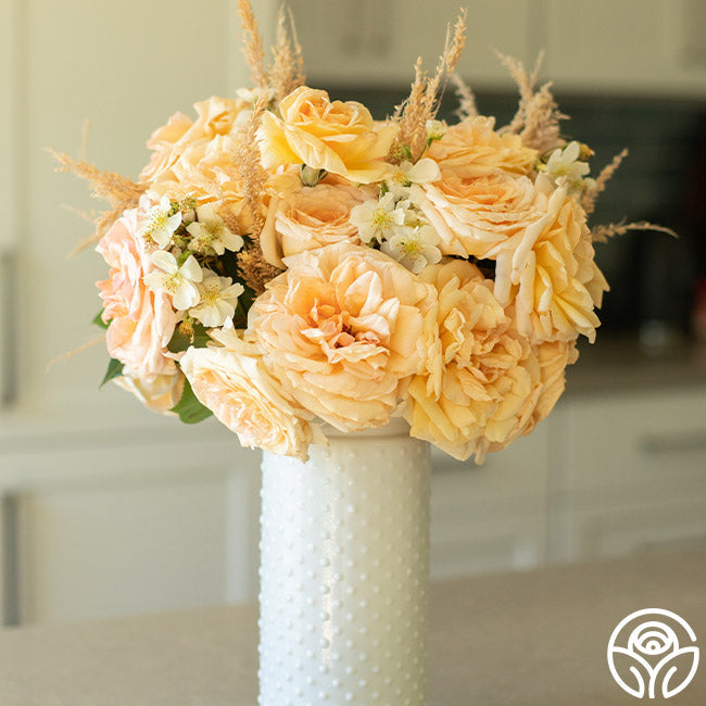  Apricots N' Cream™